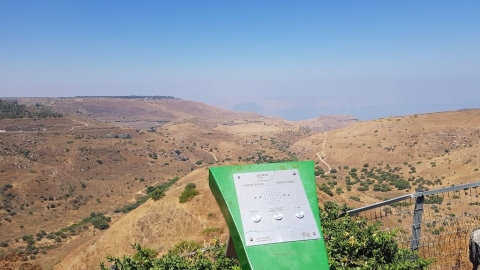 נוף.jpg