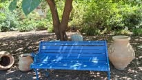 ספסל.jpg