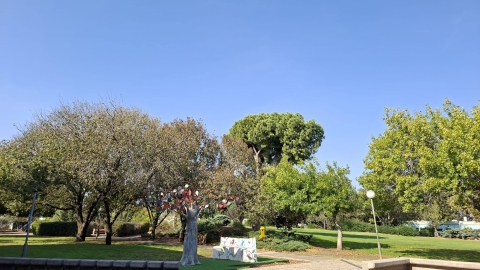 עץ משפחות.jpg