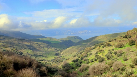 תמונה1.jpg
