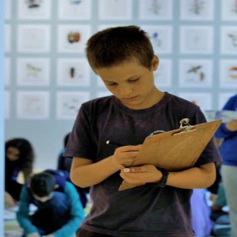 ניצוצות (4).jpg