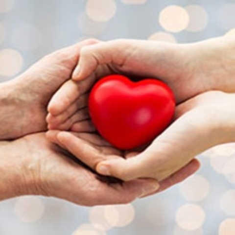 שירותים חברתיים.jpg