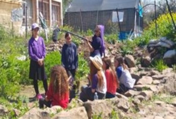 מסלולרי - בית ספר גולן