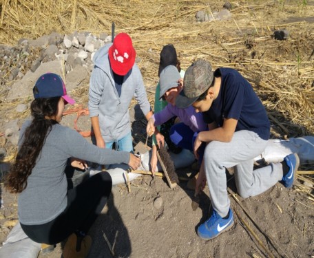 חפירות ארכיולוגיות