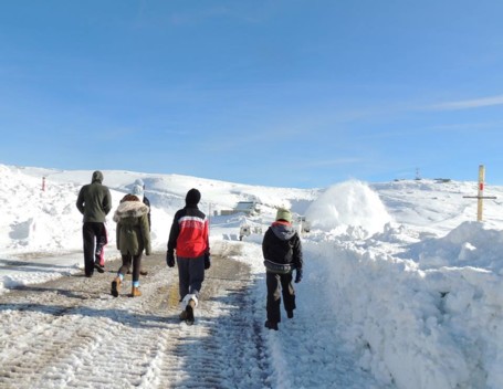 הערכות לחורף