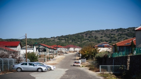 אלוני הבשן (5).jpg