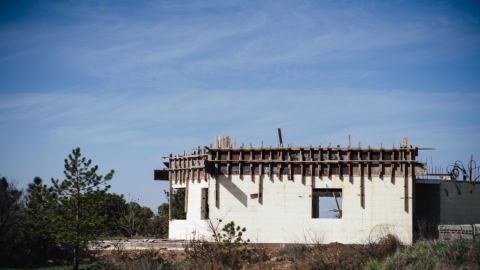 אלוני הבשן (6).jpg