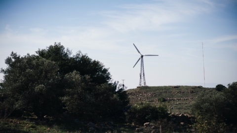 אלוני הבשן (3).jpg