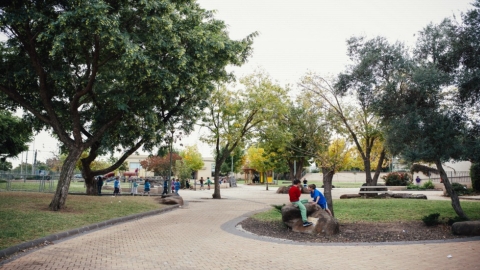 חיספין (2).jpg