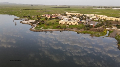 חיספין (1).jpeg