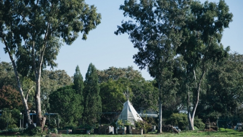 כפר חרוב (2).jpg