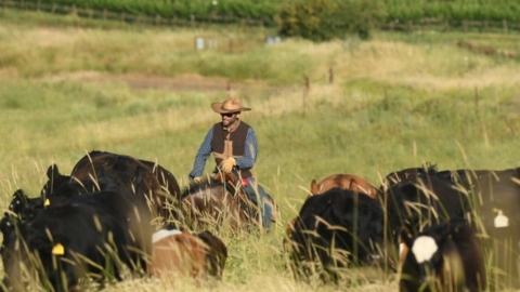 מבוא חמה (11).jpg