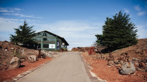 מרום גולן (6).jpg