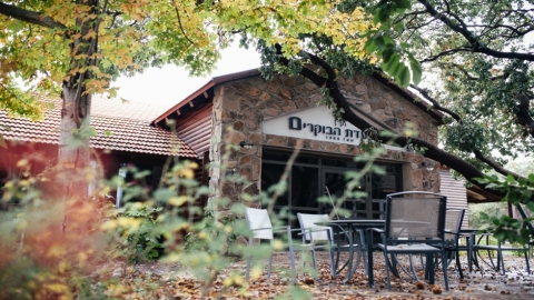 מרום גולן (2).jpg