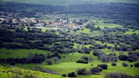 עין זיוון (5).jpg