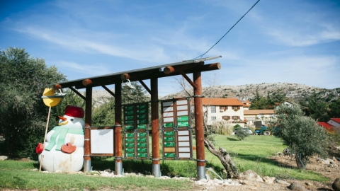 נווה אטי-ב (2).jpg