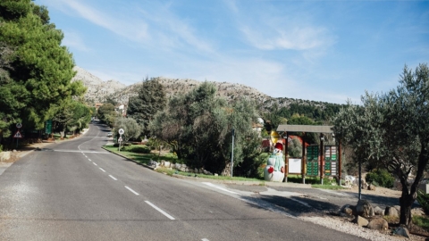 נווה אטי-ב (3).jpg