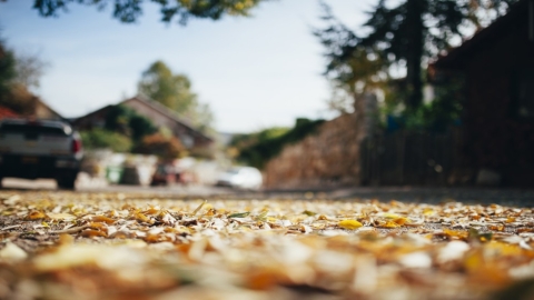 נווה אטי-ב (4).jpg