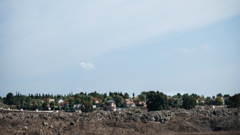 קדמת צבי (6).jpg