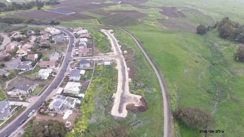 קדמת צבי (5).jpg