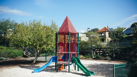 מעלה גמלא (3).jpg