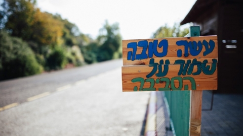 מעלה גמלא (4).jpg