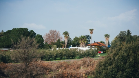 גבעת יואב (1).jpg