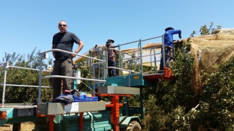 נחלות חקלאיות תכנית.jpg