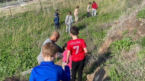 מעלות הגולן 6.jpeg