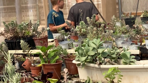 מעלות הגולן 4.jpeg