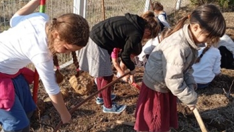 בית ספר ואהבת, קשת (2).jpg