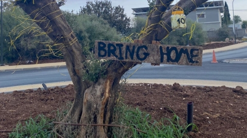 נאות גולן (11).jpg