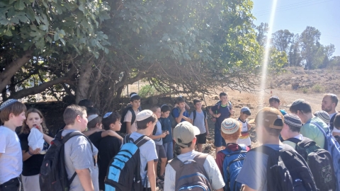 ביס גולן1.jpg